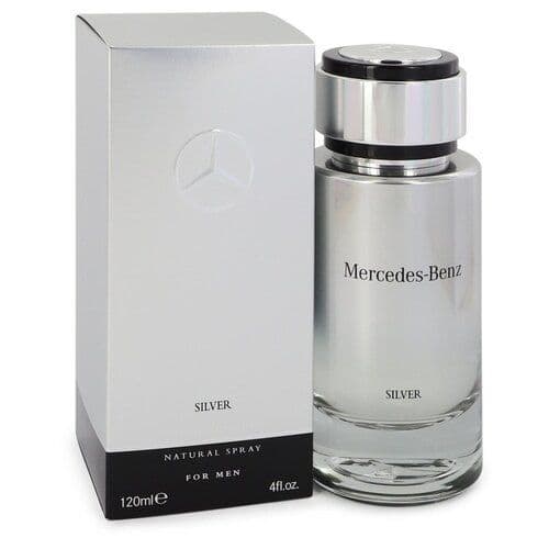 Mercedes Benz Silver by