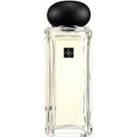 عطر سِلفر نيدل تي جو مالون