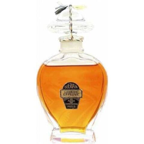 عطر كاندي فلوف جيرلان