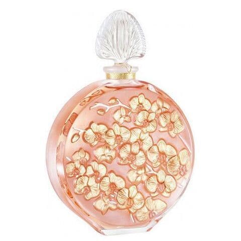 عطر لاليك دي لاليك أوركيدي كريستال فلاكون