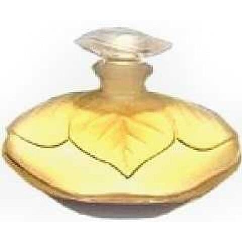 عطر ايلي لانسيتي