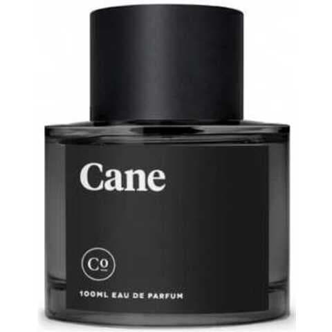 عطر كومودتي كان