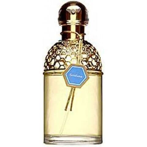 عطر أكوا أليغوريا جينتيانا جيرلان