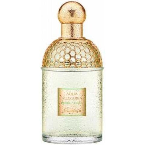 عطر أكوا أليغوريا هيربا فريسكا جيرلان