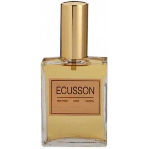 عطر لونج لوست برفيوم إكوسون