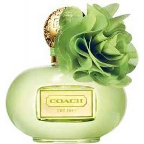 عطر كوتش كوتش بوبي سيترن بلوسوم