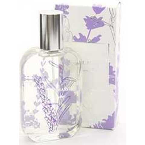 عطر كازويل ماسي لافندر اوريجينال