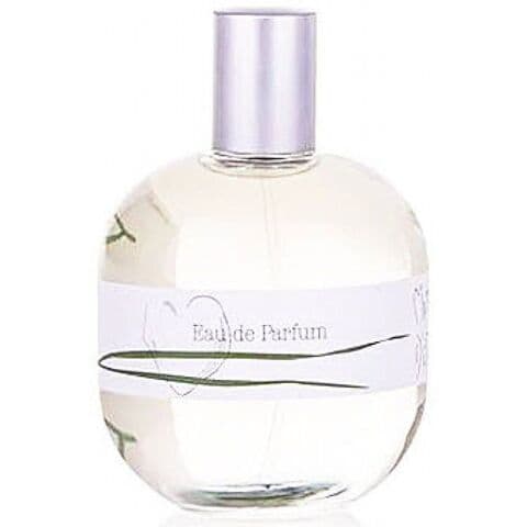 عطر ماتين دإتي بليس دي لايسيز