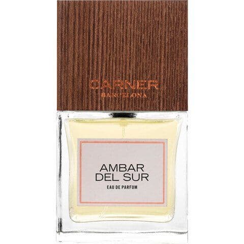 Ambar del Sur