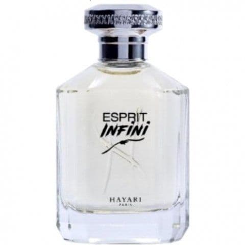 Esprit Infini