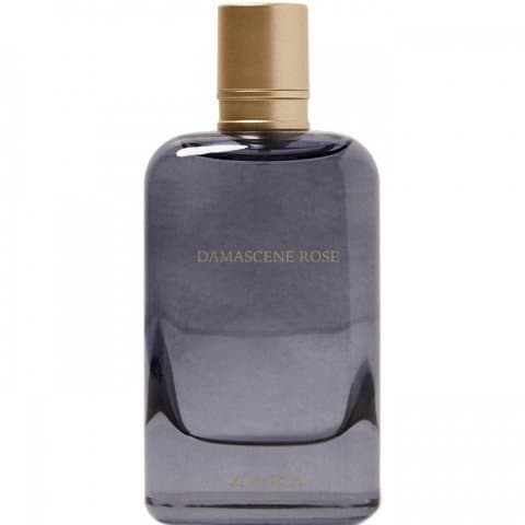 Damascene Rose
