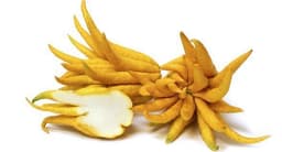 Citron