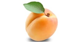 Apricot