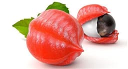 Guarana