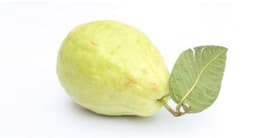 جوافة