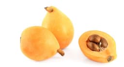 اسكدنيا يابانية
