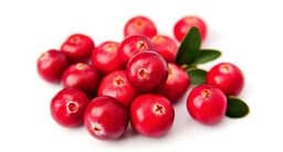Red berries