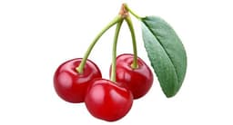 كرز حامض