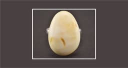 White Amber