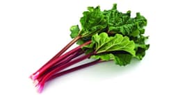 Rhubarb