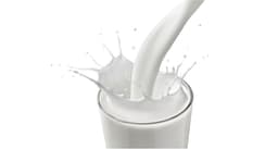 milk