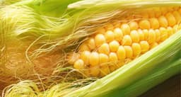 Corn Silk
