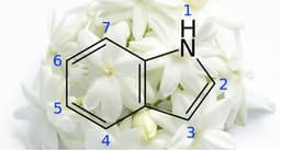 Indole