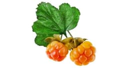 Cloudberry