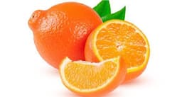Tangelo
