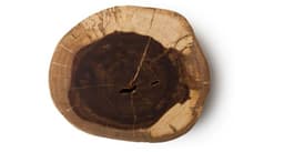 Buddha Wood