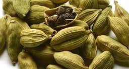Cardamom