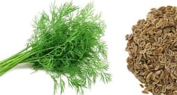 dill