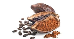 Cocoa