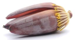 Banana Flower