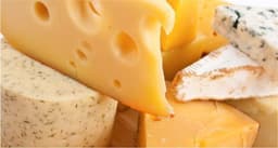 Cheese