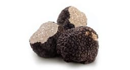Truffle