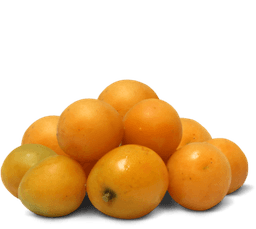 umbu cajá