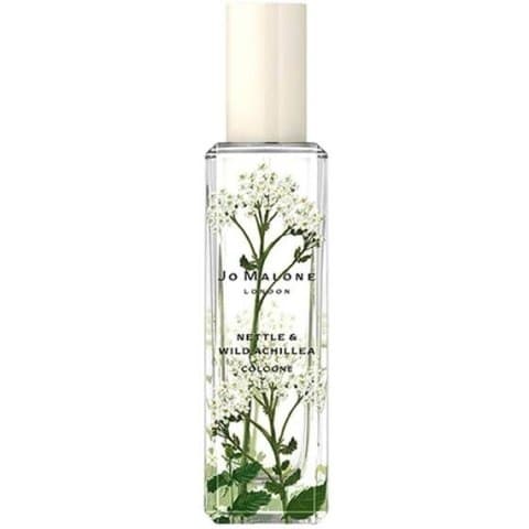 Nettle & Wild Achillea