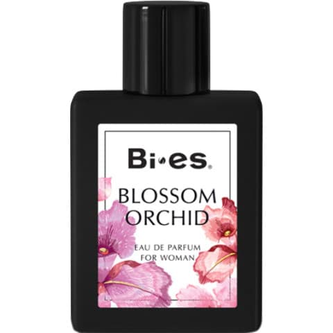 Blossom Orchid