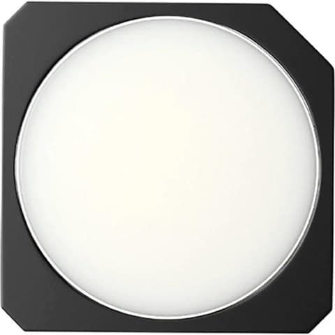 Blackberry & Bay SOLID SCENT