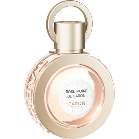 Rose Ivoire de