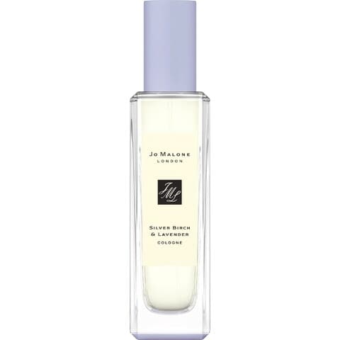 Silver Birch & Lavender
