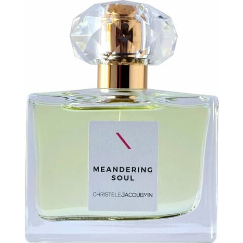 Meandering Soul