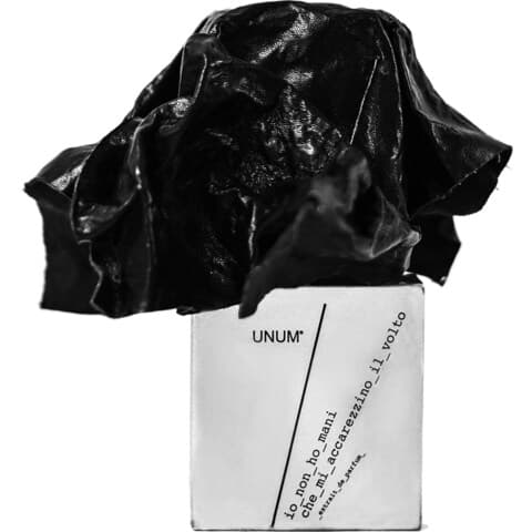Unum - Io Non Ho Mani Che Mi Accarezzino Il Volto