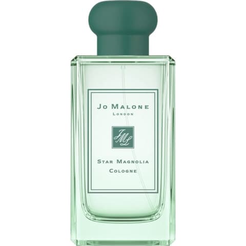 Star Magnolia COLOGNE
