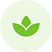 plant-collection